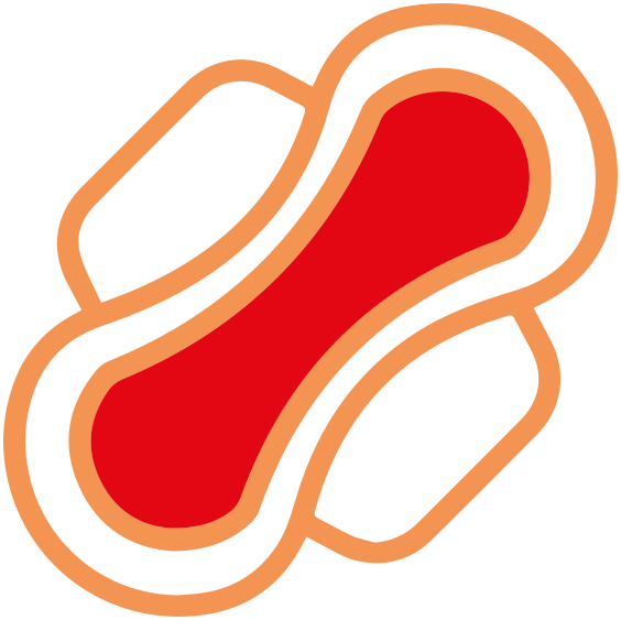 Sanitary Pad